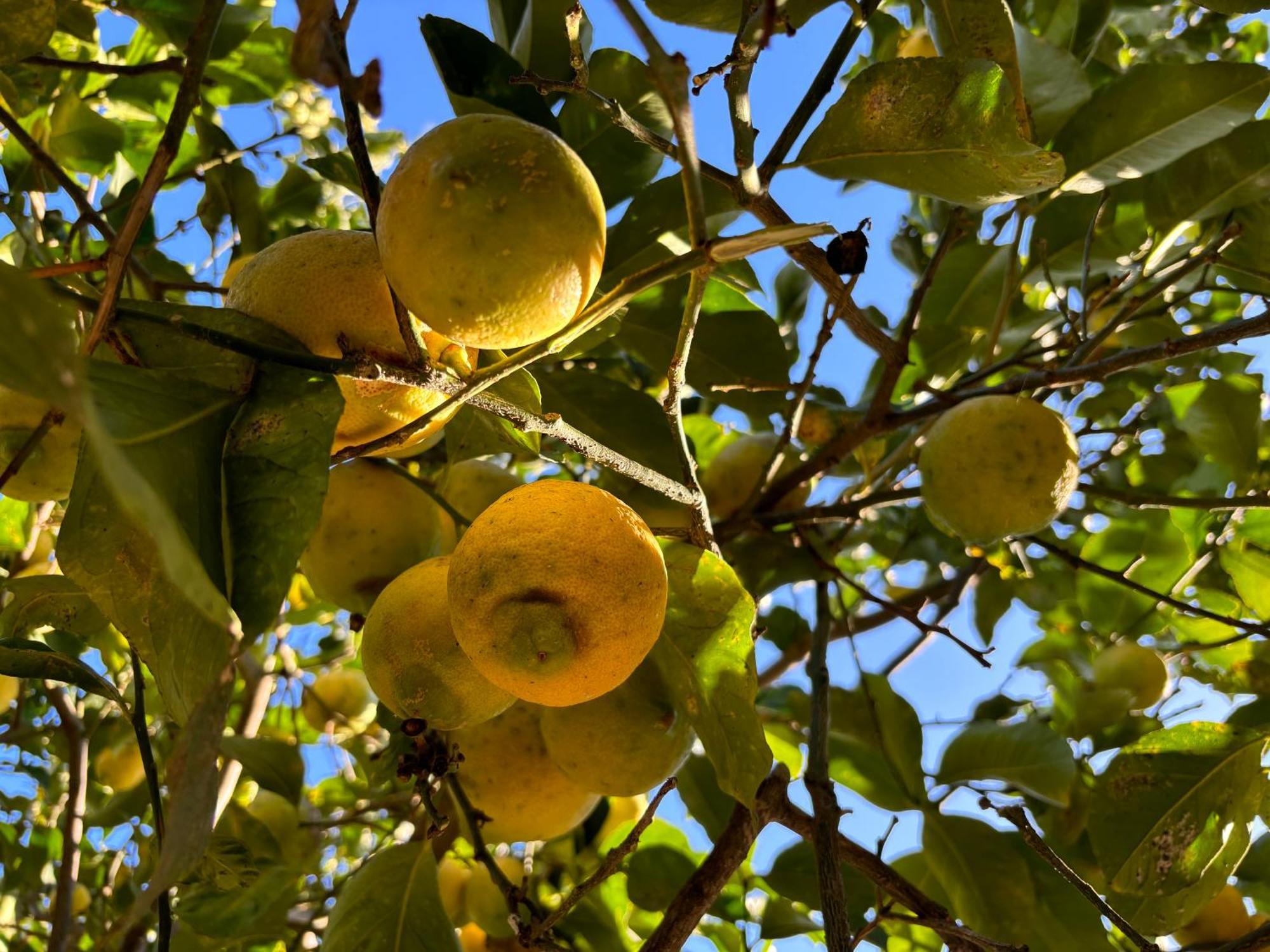 Ificumori, Campagna Ammare Βίλα Marina di Modica Εξωτερικό φωτογραφία