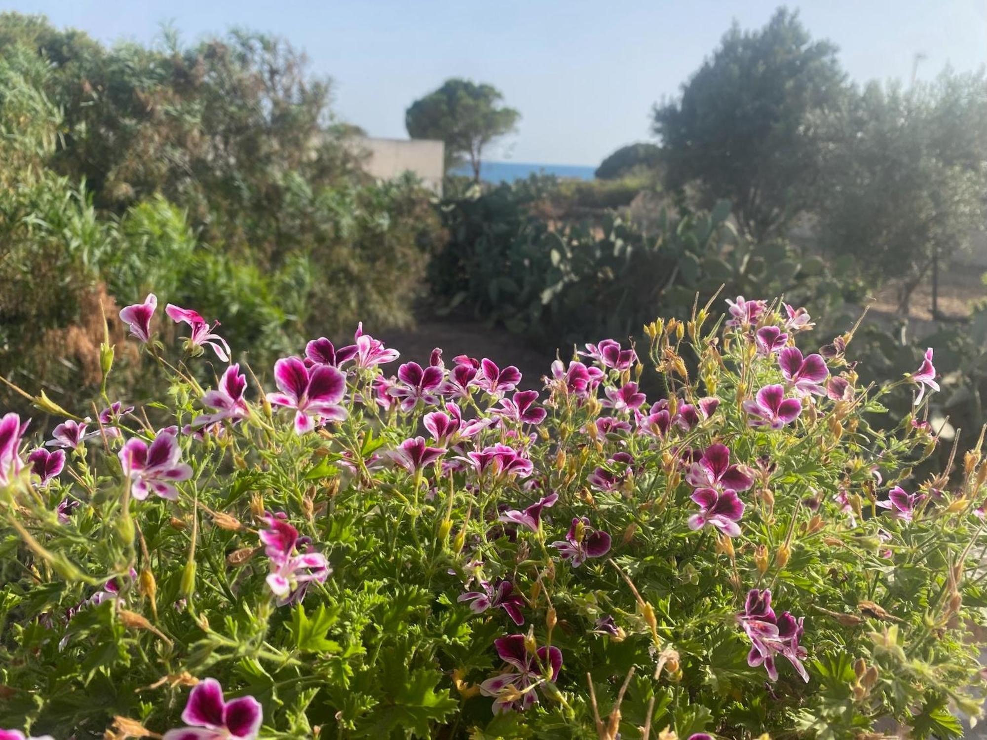 Ificumori, Campagna Ammare Βίλα Marina di Modica Εξωτερικό φωτογραφία