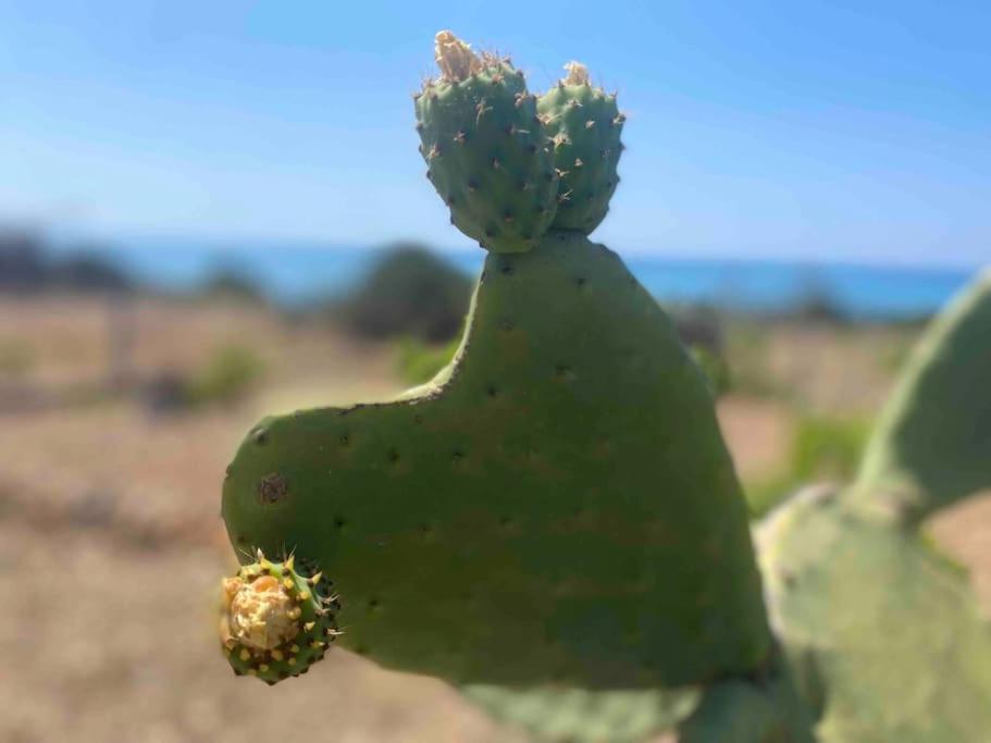 Ificumori, Campagna Ammare Βίλα Marina di Modica Εξωτερικό φωτογραφία