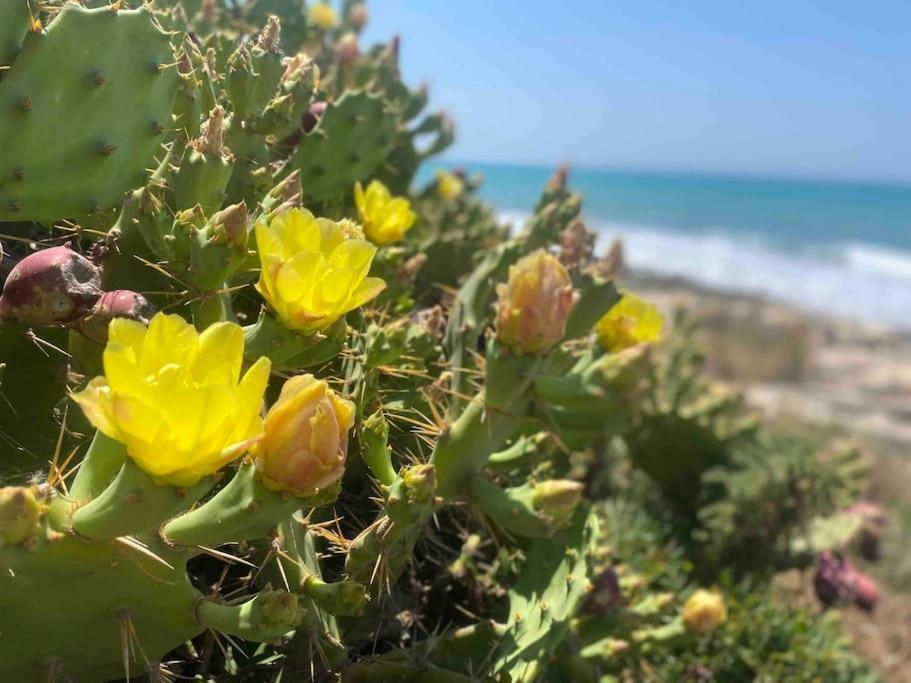 Ificumori, Campagna Ammare Βίλα Marina di Modica Εξωτερικό φωτογραφία