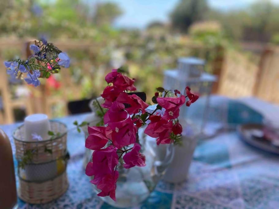 Ificumori, Campagna Ammare Βίλα Marina di Modica Εξωτερικό φωτογραφία