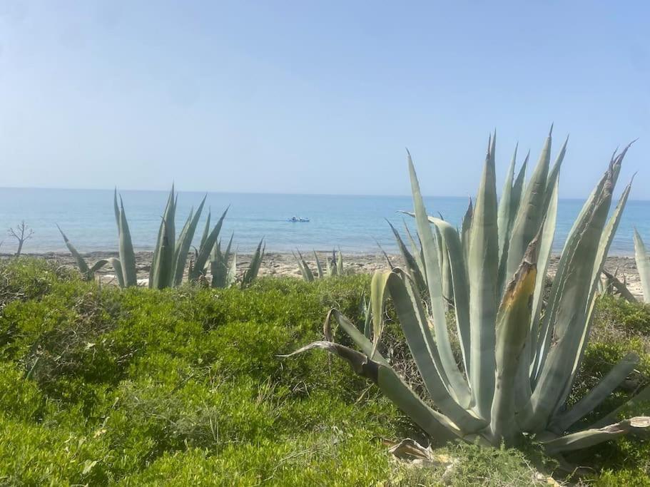 Ificumori, Campagna Ammare Βίλα Marina di Modica Εξωτερικό φωτογραφία
