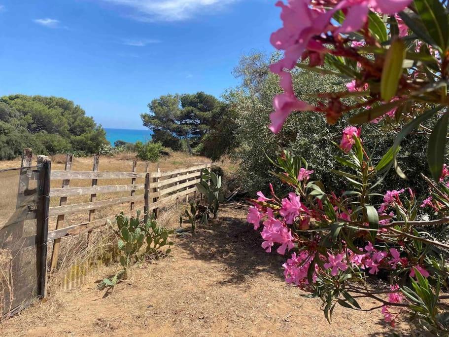 Ificumori, Campagna Ammare Βίλα Marina di Modica Εξωτερικό φωτογραφία