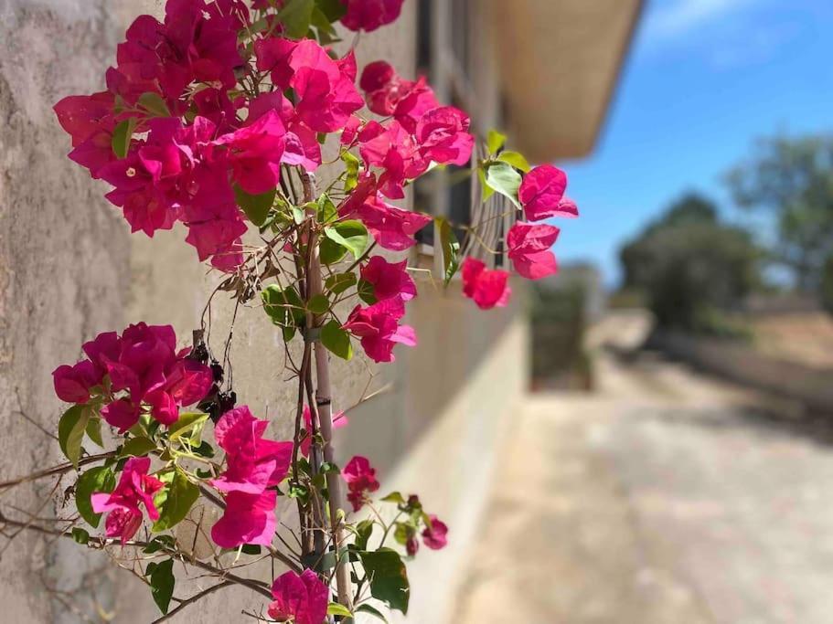 Ificumori, Campagna Ammare Βίλα Marina di Modica Εξωτερικό φωτογραφία