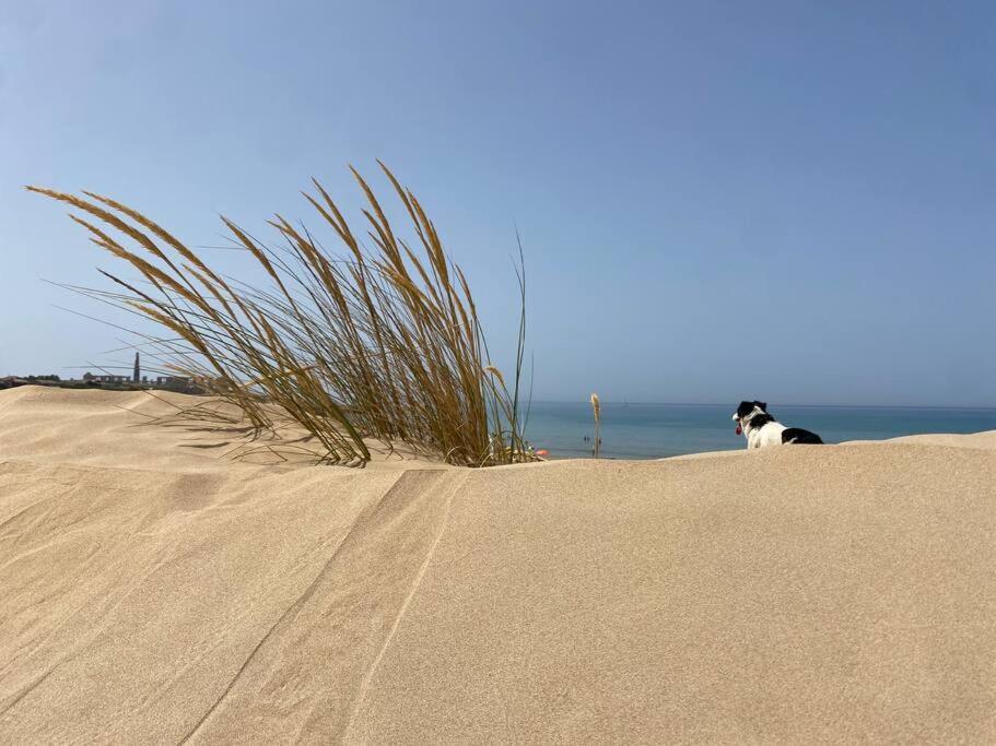 Ificumori, Campagna Ammare Βίλα Marina di Modica Εξωτερικό φωτογραφία