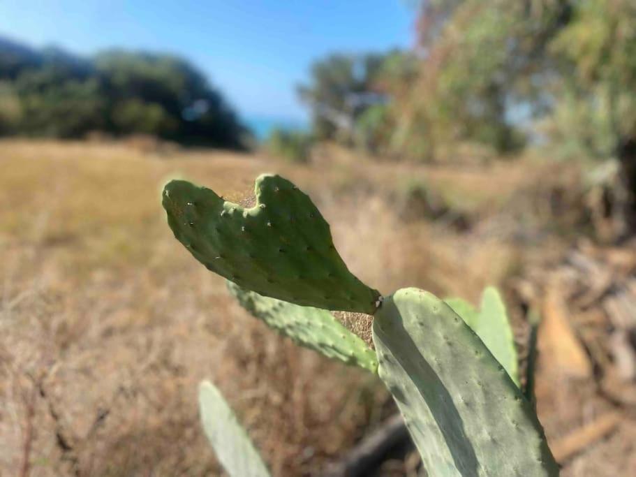 Ificumori, Campagna Ammare Βίλα Marina di Modica Εξωτερικό φωτογραφία