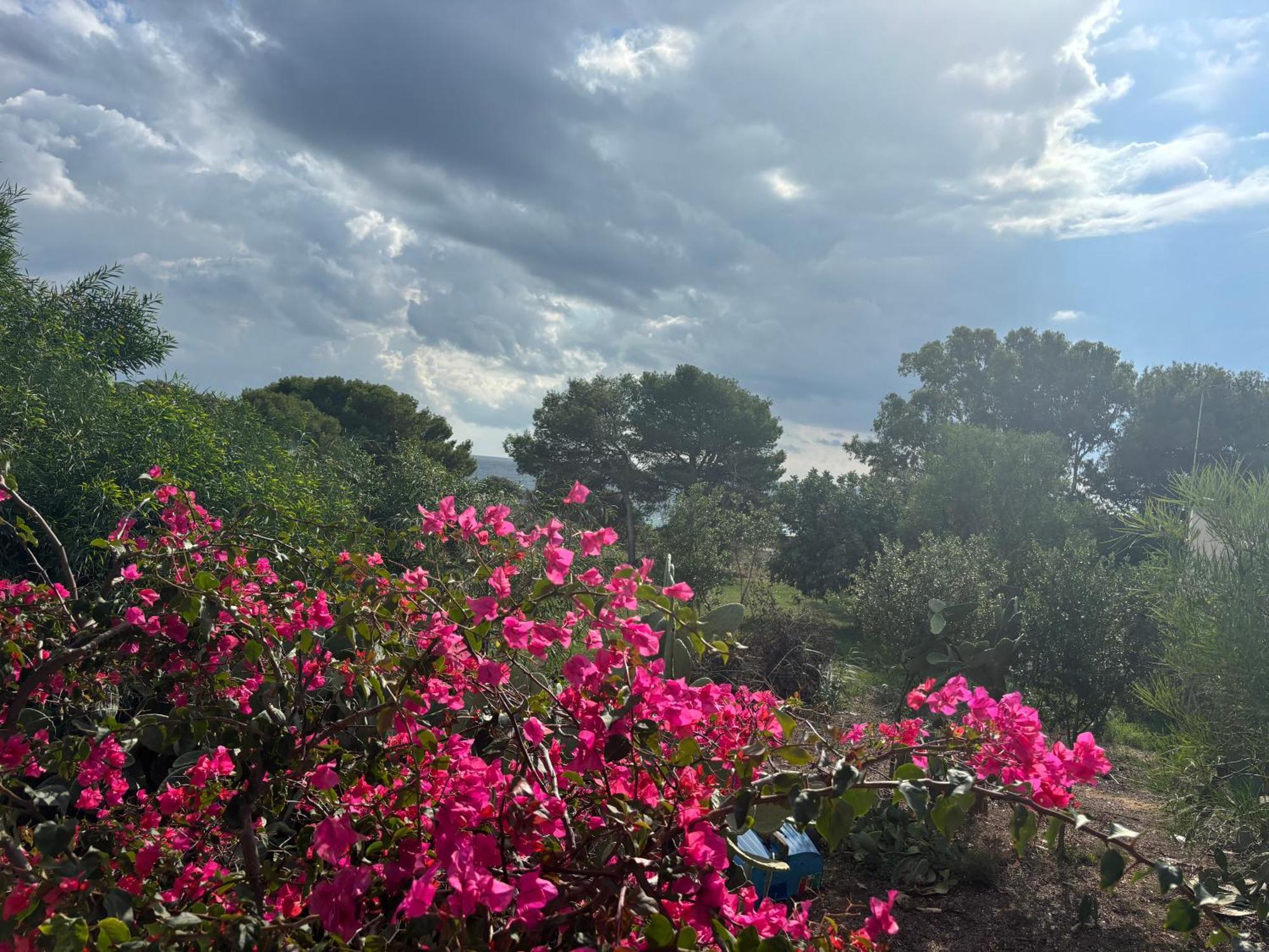 Ificumori, Campagna Ammare Βίλα Marina di Modica Εξωτερικό φωτογραφία